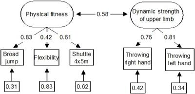 Associations Between Executive Functions and Physical Fitness in Preschool Children